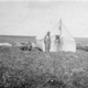 Image for article titled These Dogs are Honorary Geologists for Their Early Exploration of Alaska